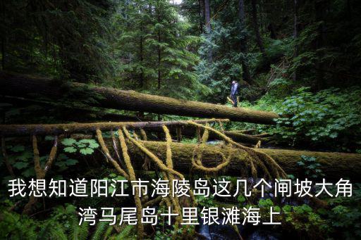 陽江馬尾島，我想知道陽江市海陵島這幾個閘坡大角灣馬尾島十里銀灘海上