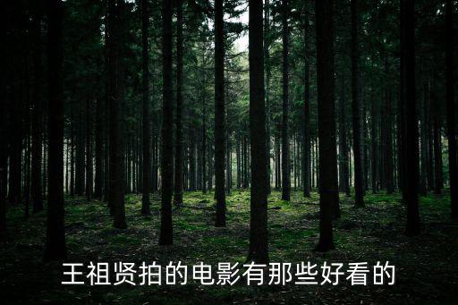 王祖賢拍的電影有那些好看的