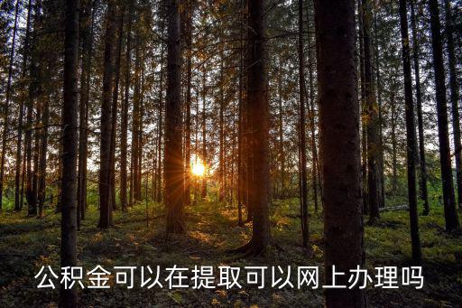 單位公積金網上業務辦理系統，公積金網上系統如何進行補繳操作
