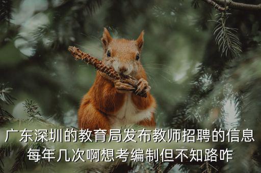 廣東深圳的教育局發(fā)布教師招聘的信息每年幾次啊想考編制但不知路咋