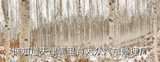 誰知道天津哪里有大眾汽車修理廠