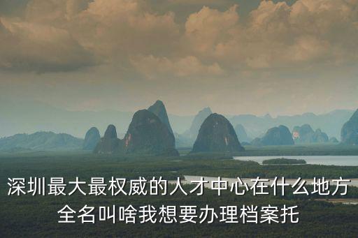 深圳最大最權(quán)威的人才中心在什么地方全名叫啥我想要辦理檔案托