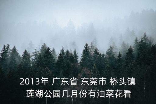 2013年 廣東省 東莞市 橋頭鎮(zhèn) 蓮湖公園幾月份有油菜花看