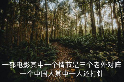 一部電影其中一個情節是三個老外對陣一個中國人其中一人還打針