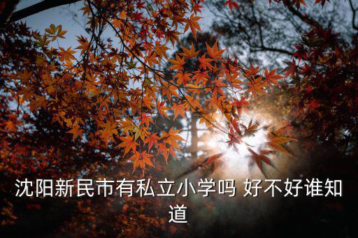 沈陽新民市有私立小學(xué)嗎 好不好誰知道