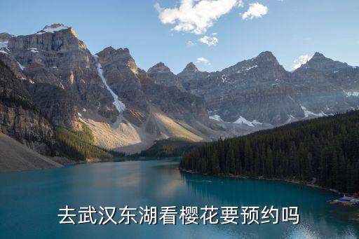 武漢東湖櫻花，去武漢東湖看櫻花要預約嗎