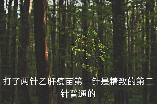 打了兩針乙肝疫苗第一針是精致的第二針普通的
