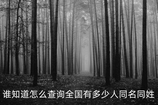 誰知道怎么查詢全國有多少人同名同姓