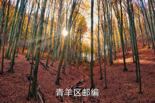青羊區郵編