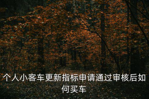 個人小客車更新指標申請通過審核后如何買車