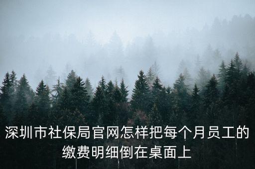深圳市社保局官網(wǎng)怎樣把每個(gè)月員工的繳費(fèi)明細(xì)倒在桌面上