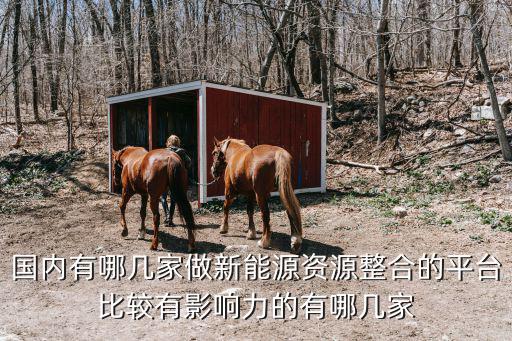 國內有哪幾家做新能源資源整合的平臺比較有影響力的有哪幾家