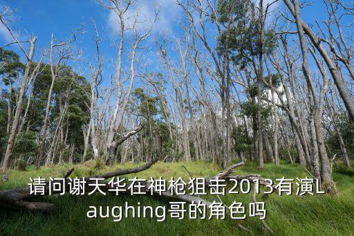 請(qǐng)問謝天華在神槍狙擊2013有演Laughing哥的角色嗎