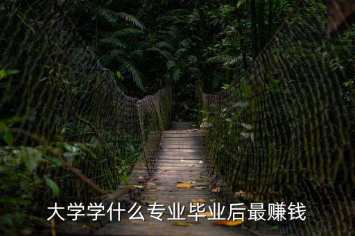 大學學什么專業(yè)畢業(yè)后最賺錢