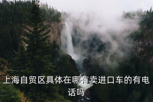 上海自貿區具體在哪有賣進口車的有電話嗎