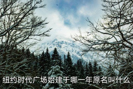 時代廣場在哪，時代廣場在什么街道什么社區