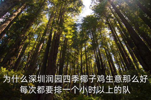 為什么深圳潤(rùn)園四季椰子雞生意那么好每次都要排一個(gè)小時(shí)以上的隊(duì)