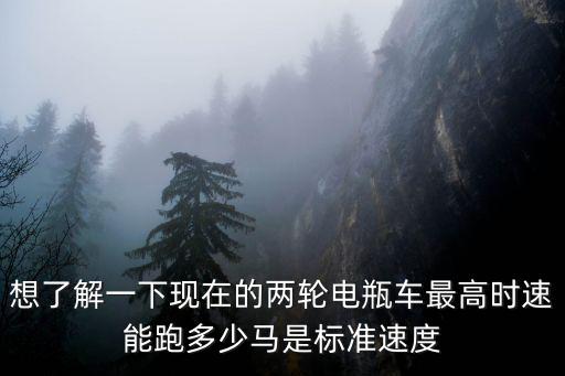想了解一下現在的兩輪電瓶車最高時速能跑多少馬是標準速度