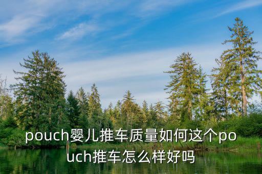 pouch嬰兒推車質量如何這個pouch推車怎么樣好嗎