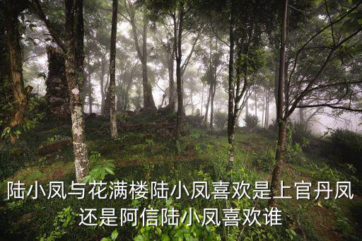 上官丹鳳，陸小鳳與花滿樓陸小鳳喜歡是上官丹鳳還是阿信陸小鳳喜歡誰(shuí)