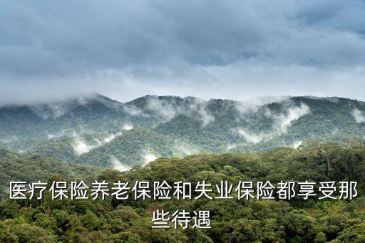 醫療保險待遇，成都市享受醫療保險待遇有哪些條件