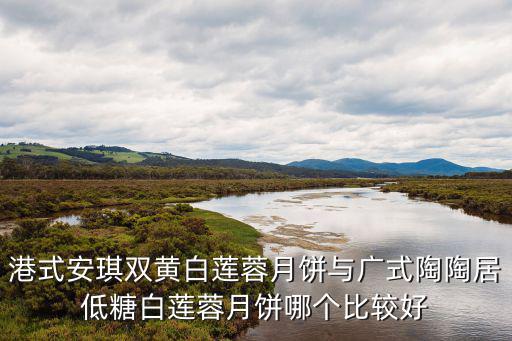 港式安琪雙黃白蓮蓉月餅與廣式陶陶居低糖白蓮蓉月餅?zāi)膫€(gè)比較好