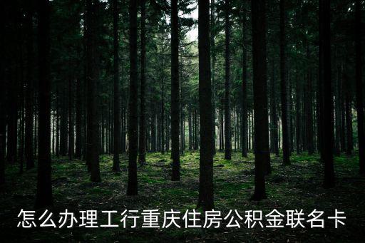 公積金聯名卡怎么辦理，怎么辦理工行重慶住房公積金聯名卡