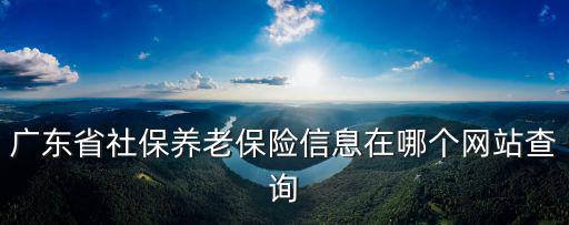 廣東省社保養老保險信息在哪個網站查詢