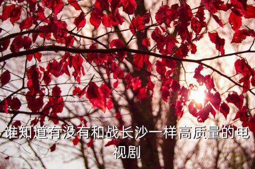誰(shuí)知道有沒(méi)有和戰(zhàn)長(zhǎng)沙一樣高質(zhì)量的電視劇