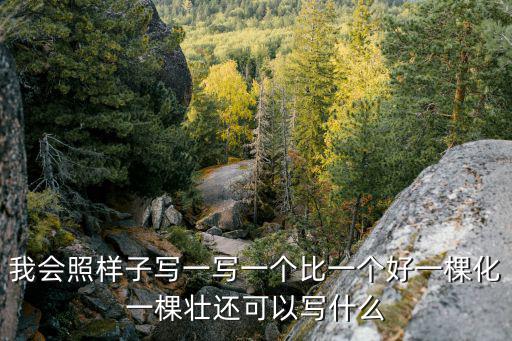我會照樣子寫一寫一個比一個好一棵化一棵壯還可以寫什么