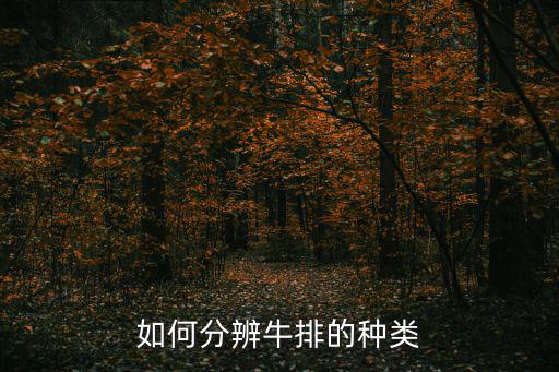 牛排分類，牛排種類大全大家吃過幾種