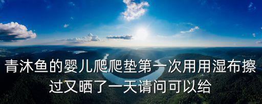 青沐魚的嬰兒爬爬墊第一次用用濕布擦過又曬了一天請(qǐng)問可以給