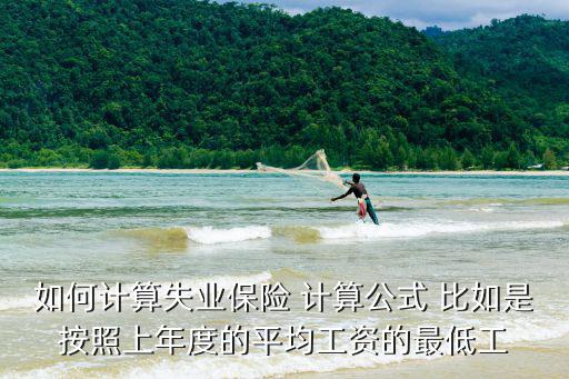 如何計算失業(yè)保險 計算公式 比如是按照上年度的平均工資的最低工