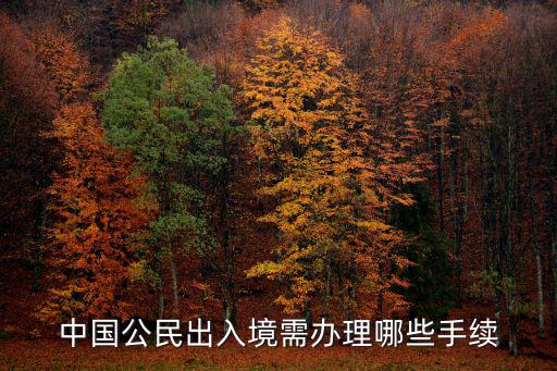 出入境，中國公民出入境需辦理哪些手續(xù)
