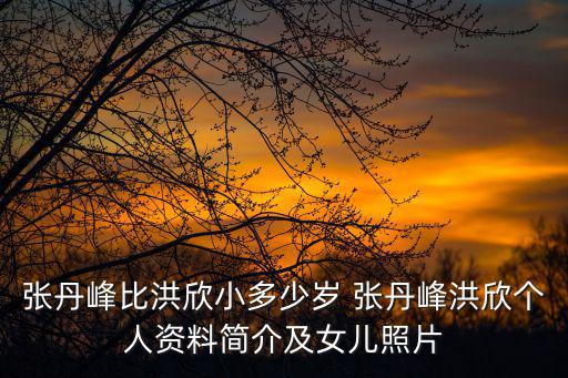 張丹峰比洪欣小多少歲 張丹峰洪欣個(gè)人資料簡(jiǎn)介及女兒照片