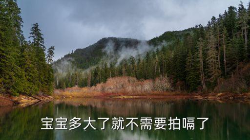 寶寶多大了就不需要拍嗝了