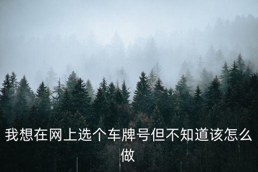 網上選車牌號流程，我的新車我想在網上預選車牌號該怎么辦把流程給我教教謝謝