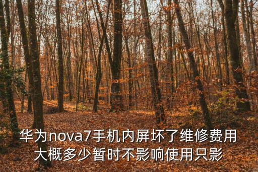 華為nova7手機(jī)內(nèi)屏壞了維修費(fèi)用大概多少暫時不影響使用只影