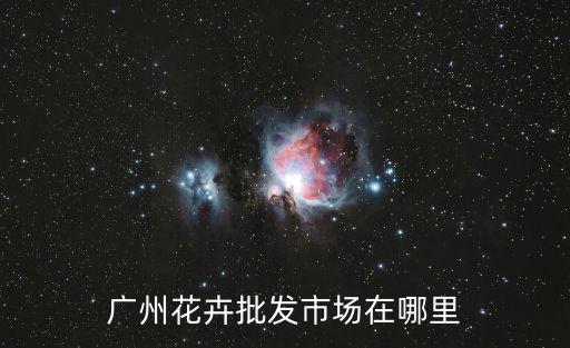 廣州花卉批發市場在哪里