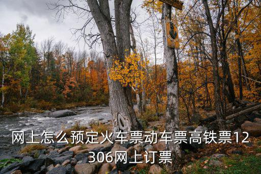 網(wǎng)上怎么預(yù)定火車票動車票高鐵票12306網(wǎng)上訂票