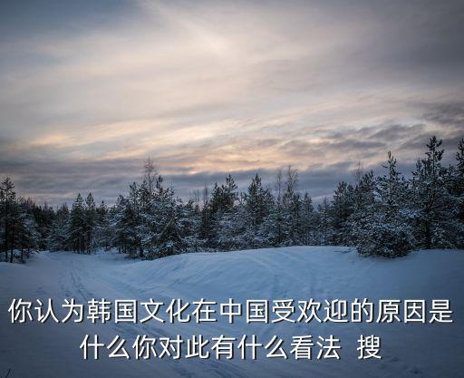 你認為韓國文化在中國受歡迎的原因是什么你對此有什么看法  搜