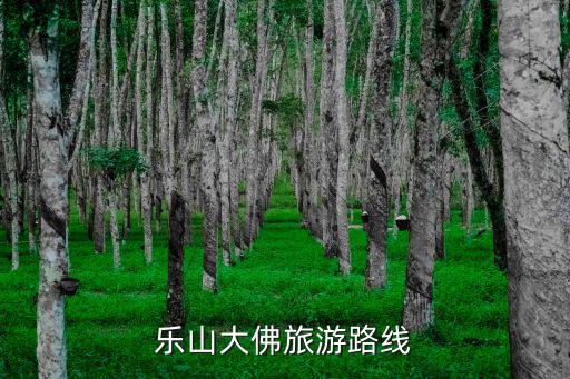 樂山大佛旅游路線