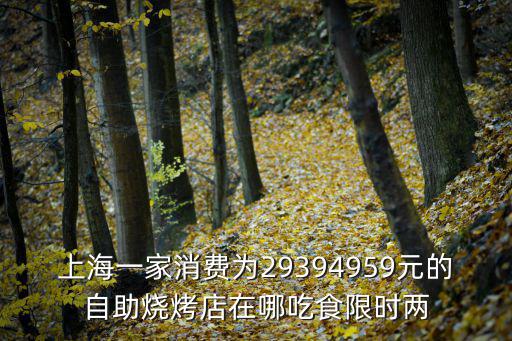 上海一家消費(fèi)為29394959元的自助燒烤店在哪吃食限時(shí)兩