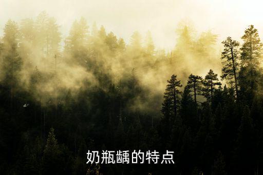 奶瓶齲，如何預防奶瓶齲的發生呢