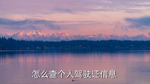 個人駕駛證查詢，個人駕駛證查詢怎么查啊