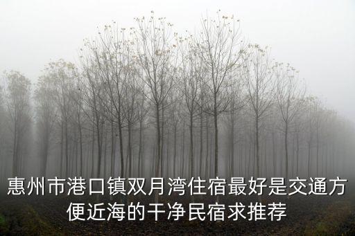 惠州市港口鎮(zhèn)雙月灣住宿最好是交通方便近海的干凈民宿求推薦