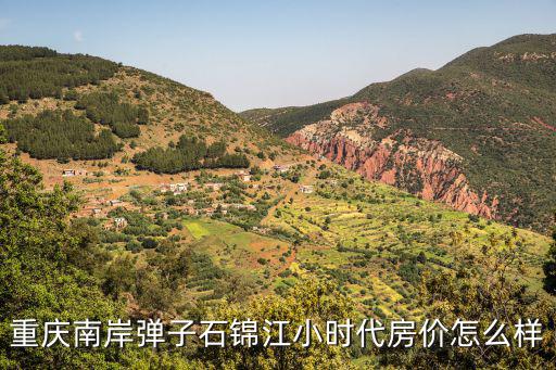 重慶南岸彈子石錦江小時(shí)代房價(jià)怎么樣