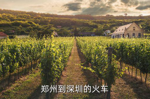 鄭州到深圳的火車(chē)