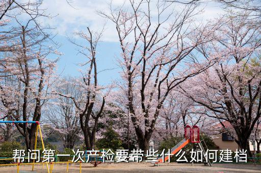 幫問第一次產檢要帶些什么如何建檔