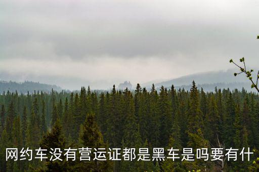 網約車沒有營運證都是黑車是嗎要有什